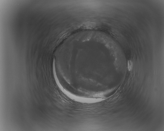 X0000067501155200604211717