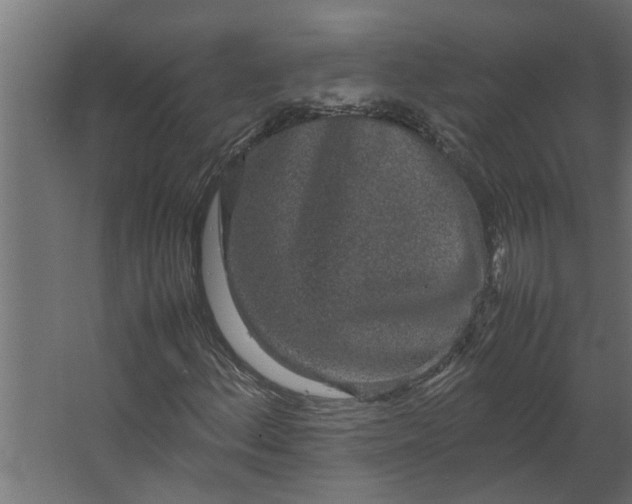 X0000067501156200604211717