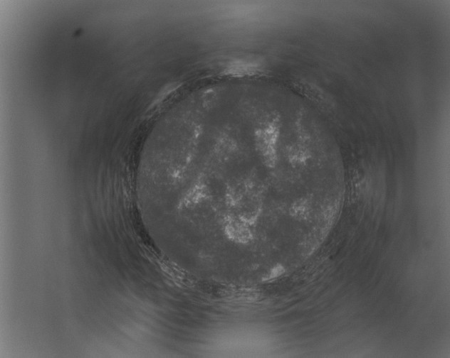 X0000067501158200604211717