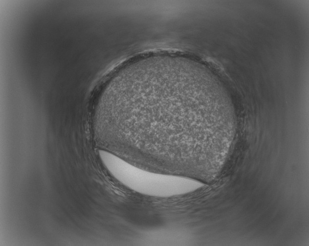 X0000067501159200604211717