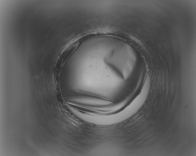 X0000067501160200604211717