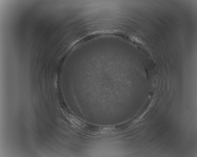 X0000067501161200604211717