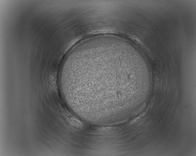 X0000067501162200604211717