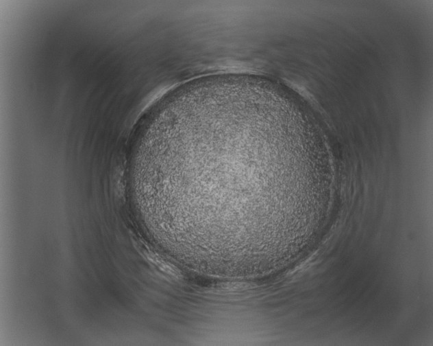 X0000067501163200604211717