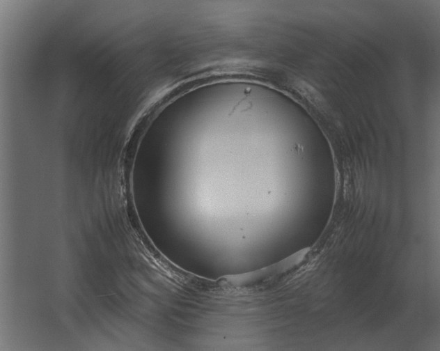 X0000067501164200604211717