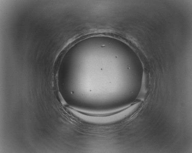 X0000067501165200604211717