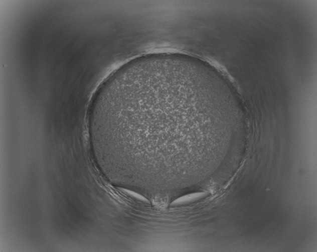 X0000067501167200604211717