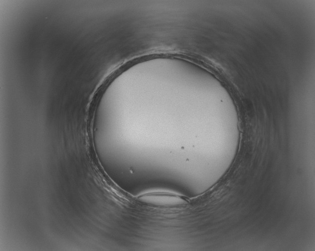 X0000067501168200604211717