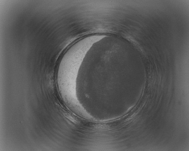 X0000067501170200604211717