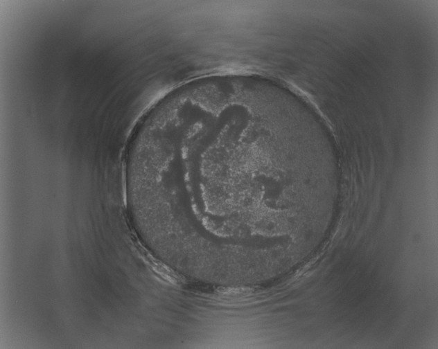 X0000067501171200604211717