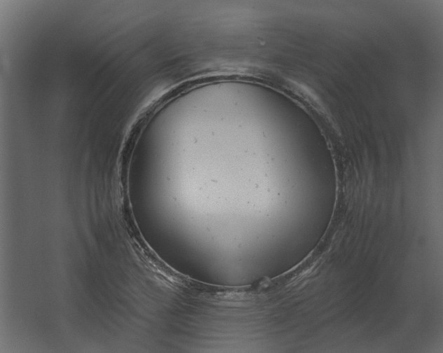 X0000067501172200604211717