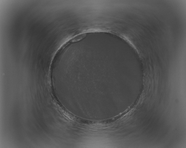 X0000067501173200604211717