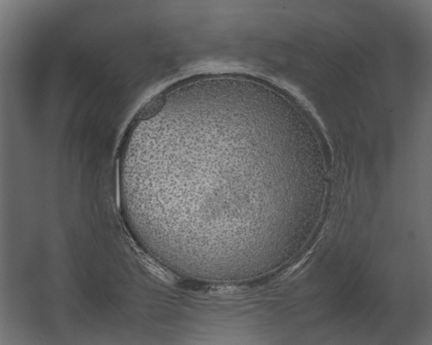 X0000067501175200604211717