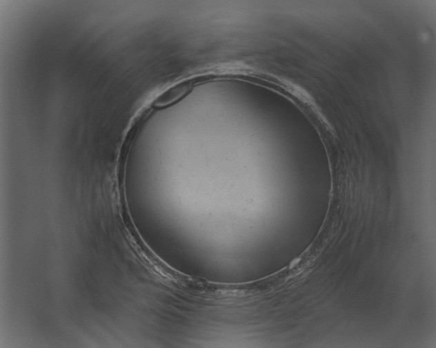 X0000067501176200604211717