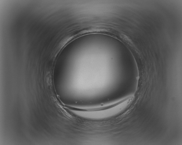 X0000067501177200604211717