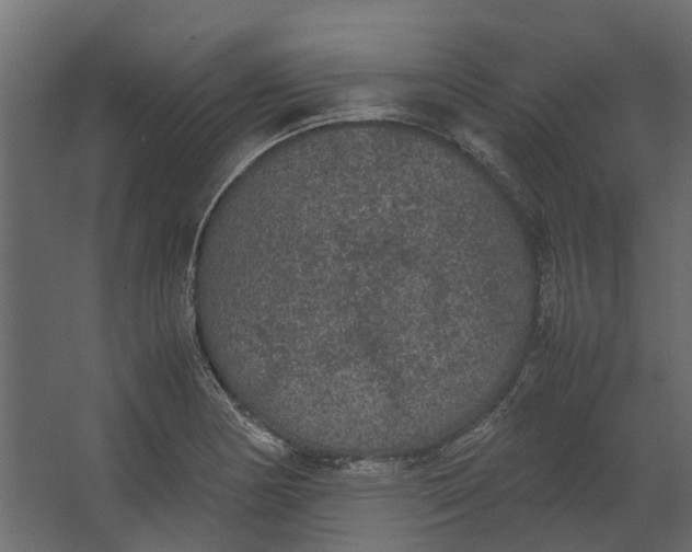 X0000067501178200604211717