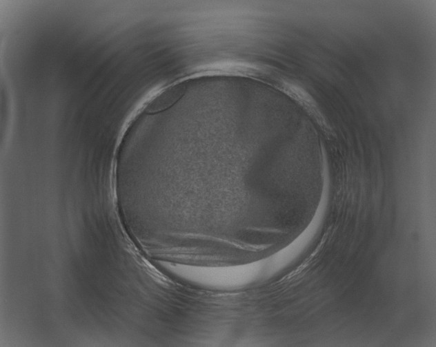 X0000067501180200604211717