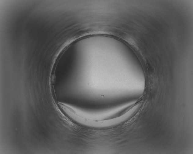 X0000067501181200604211717