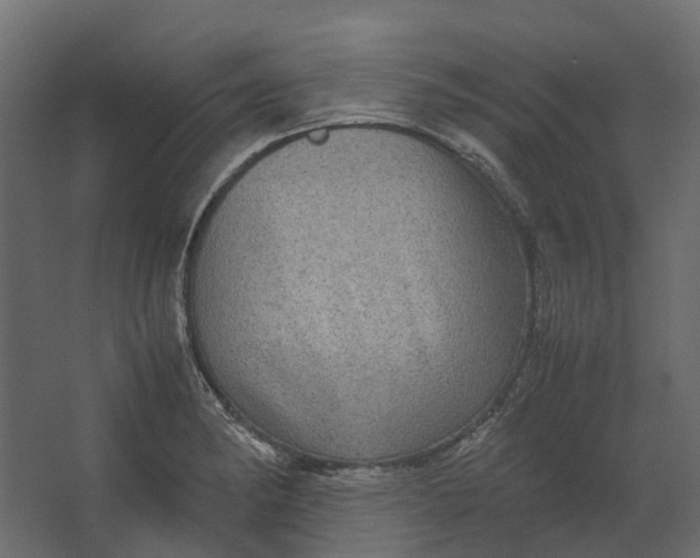 X0000067501182200604211717