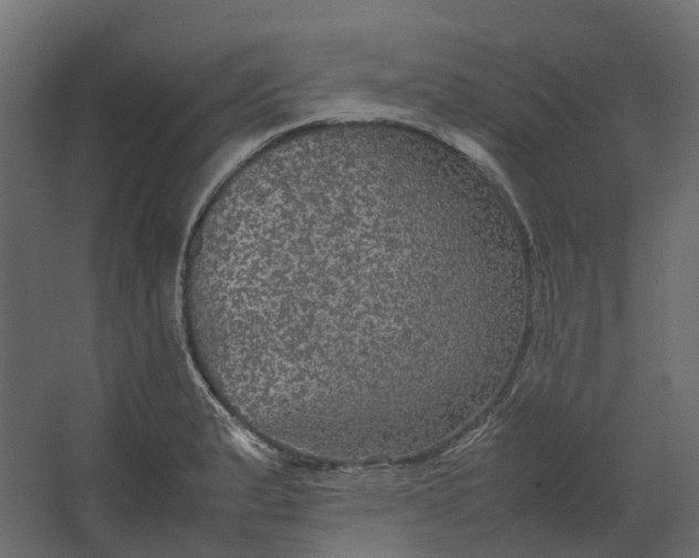 X0000067501183200604211717