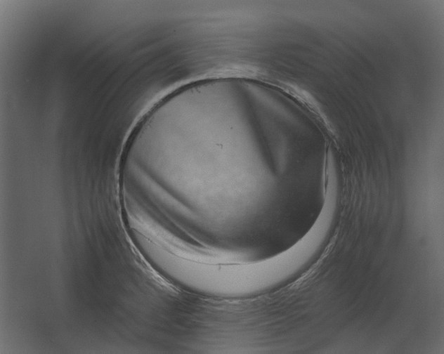 X0000067501184200604211717