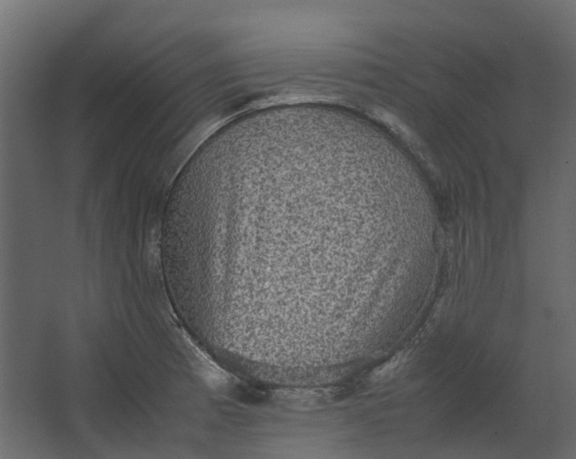 X0000067501185200604211717