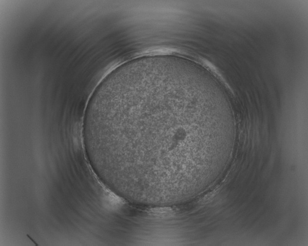 X0000067501186200604211717