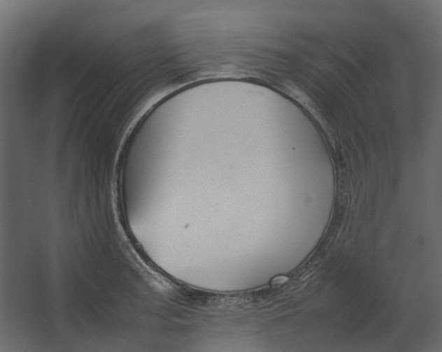 X0000067501187200604211717