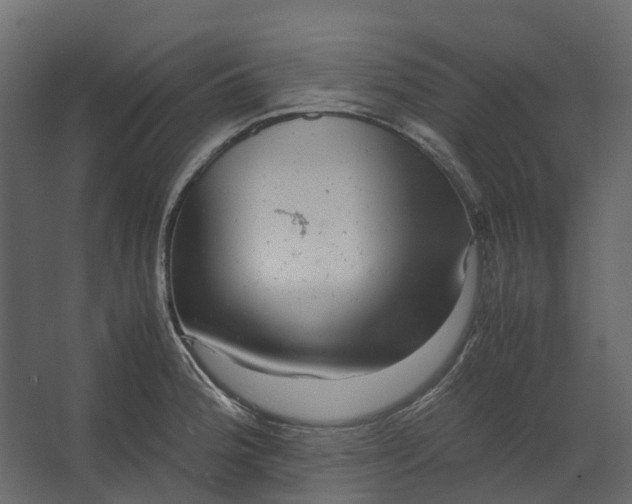 X0000067501188200604211717