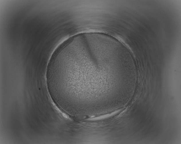 X0000067501189200604211717