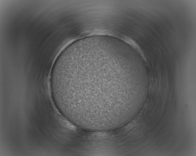 X0000067501190200604211717