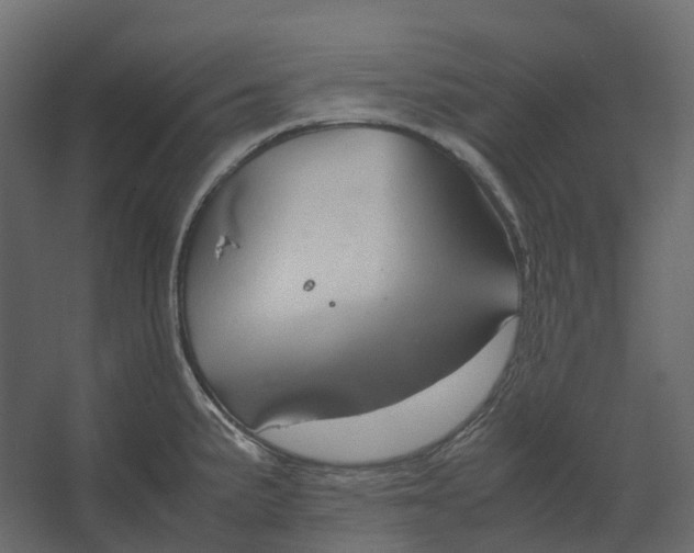 X0000067501191200604211717