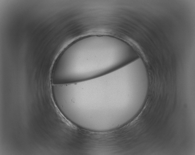 X0000067501192200604211717