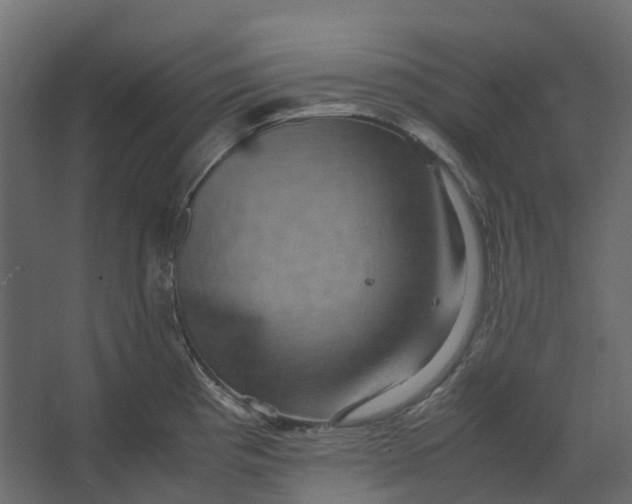 X0000067501193200604211717