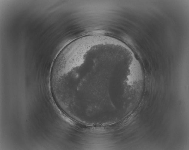 X0000067501194200604211717