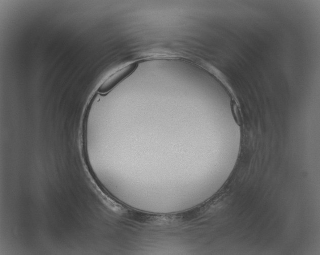 X0000067501195200604211717