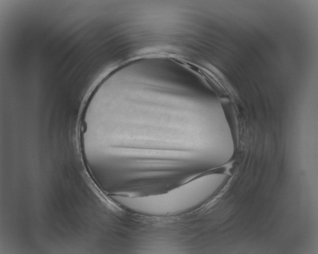 X0000067501196200604211717