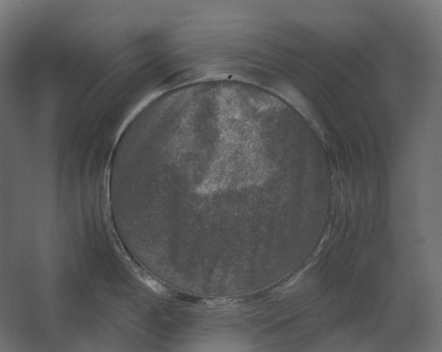 X0000067501198200604211717