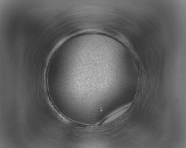 X0000067501199200604211717