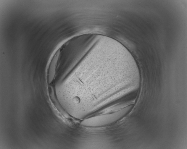 X0000067501200200604211717