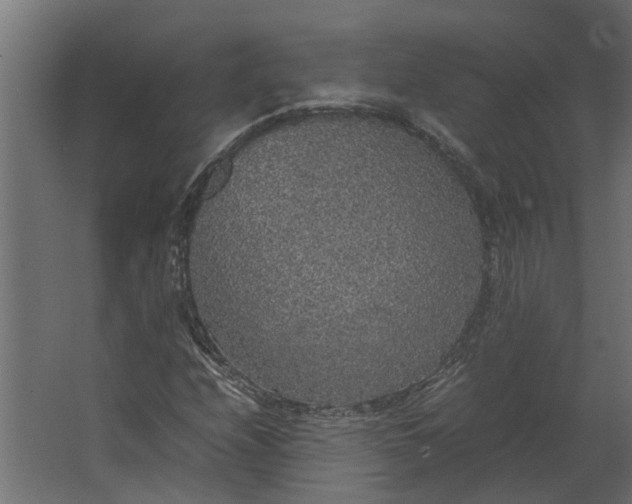 X0000067501208200604211716