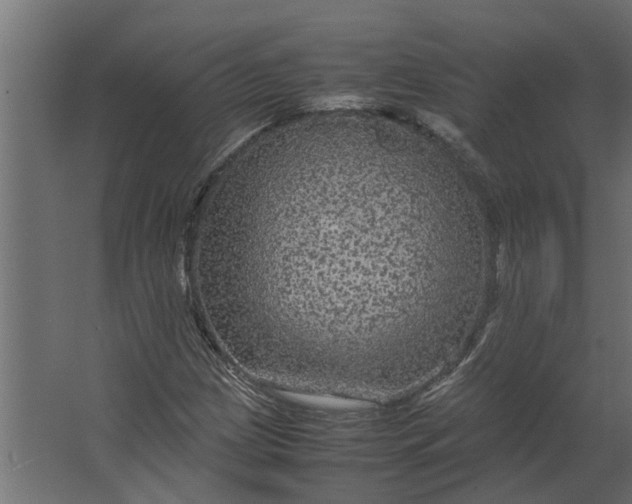 X0000067501209200604211716