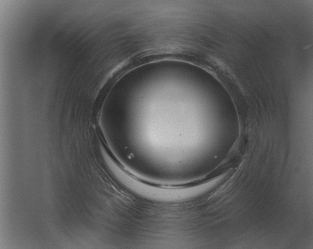 X0000067501210200604211716