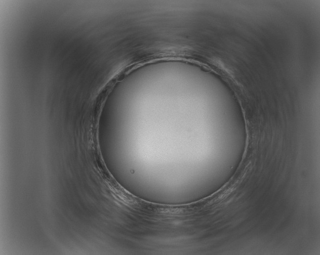 X0000067501211200604211716