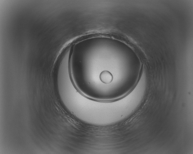 X0000067501214200604211716