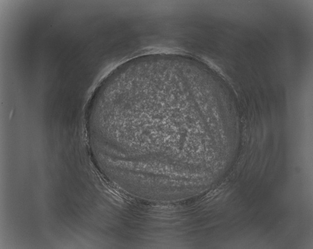 X0000067501215200604211716