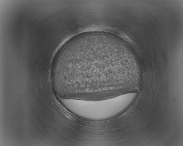 X0000067501216200604211716