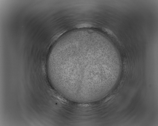 X0000067501217200604211716