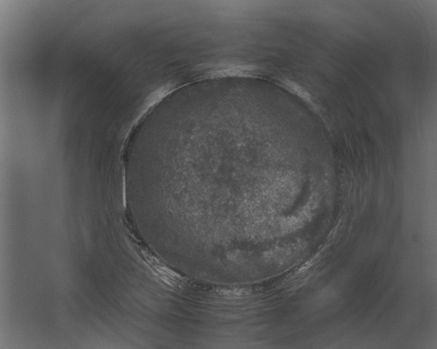 X0000067501219200604211716