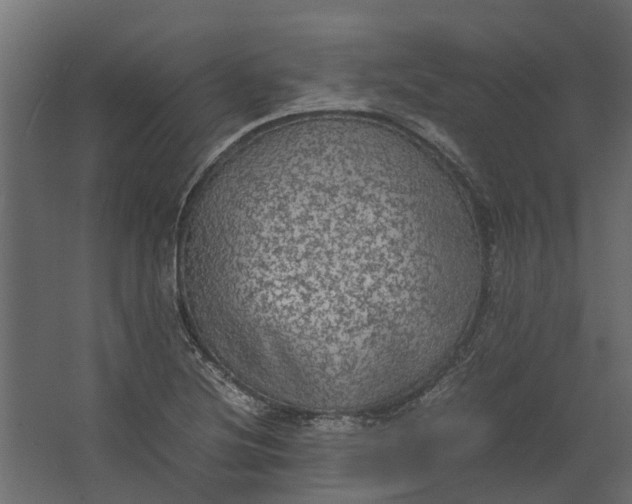 X0000067501220200604211716